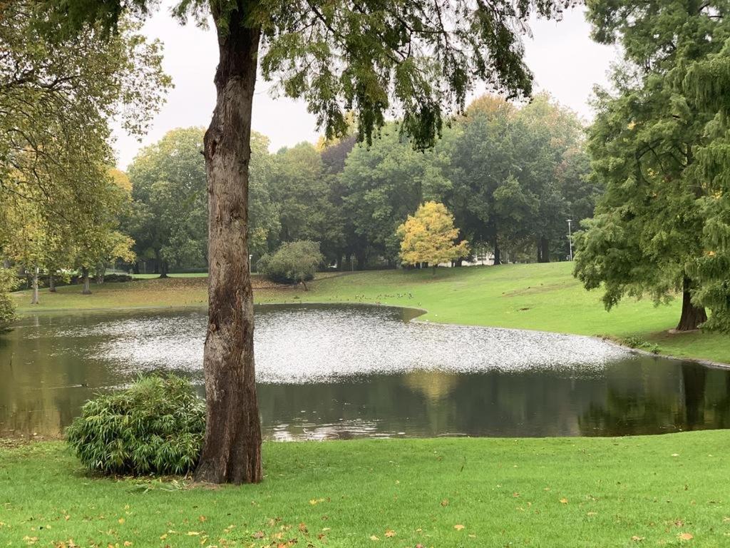 Moebliertes Wohnung Am Geroweiher Moenchengladbach Εξωτερικό φωτογραφία